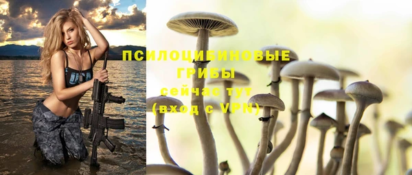 каннабис Алзамай