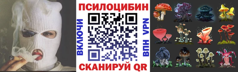 Псилоцибиновые грибы GOLDEN TEACHER купить Анива