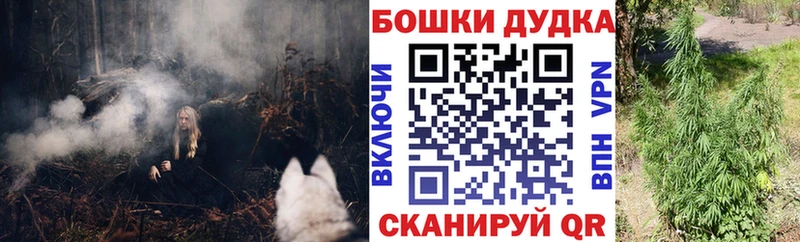 Конопля Amnesia  Анива 